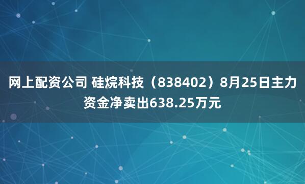 网上配资公司 硅烷科技（838402）8月25日主力资金净卖出638.25万元