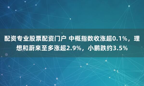 配资专业股票配资门户 中概指数收涨超0.1%，理想和蔚来至多涨超2.9%，小鹏跌约3.5%